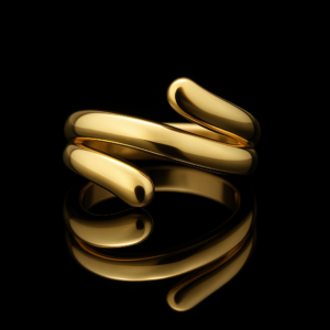 Facade Modern Ring Nº11