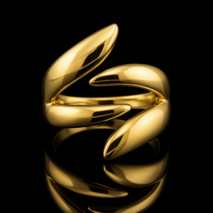 Facade Modern Ring Nº2