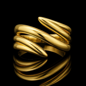 Facade Modern Ring Nº3